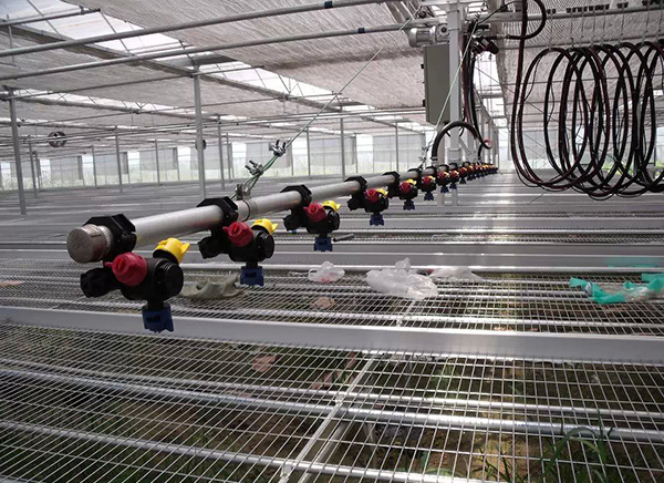 溫室噴灌機(jī)適用于哪些作物？